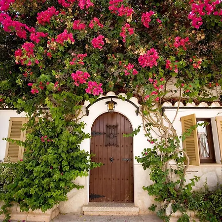 Sa Bassa Plana Cala Pi (Mallorca)