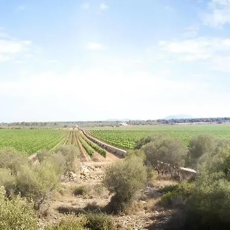 Country house Sa Bassa Plana Cala Pi (Mallorca)